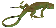 Fake Green Lizard 