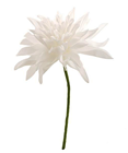 White Tropical Flower - 30cm 