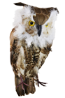 Fake Owl - 35cm 