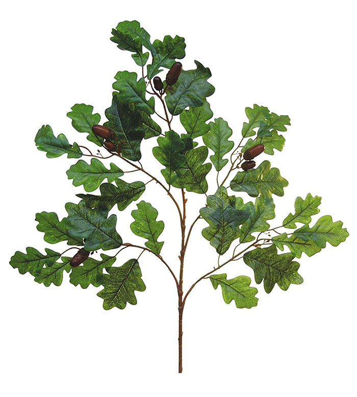 Oak Spray with Acorns Pk6 - Tendrils Sprays Leaves