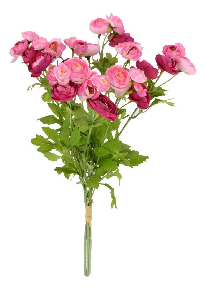 Pink Ranunculus Flower Bunch 45cm - Flowers