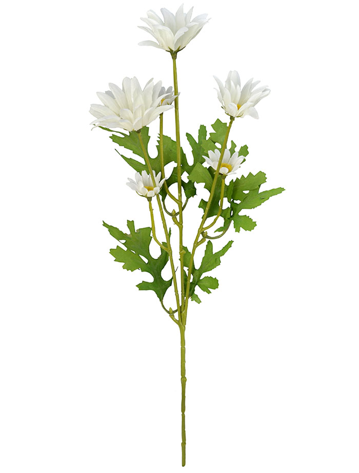 Marguerite Daisy Flower Stem 50cm - Flowers