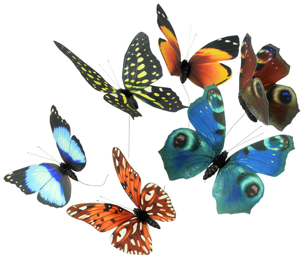 Butterfly Assortment Set of 6 - Butterflies