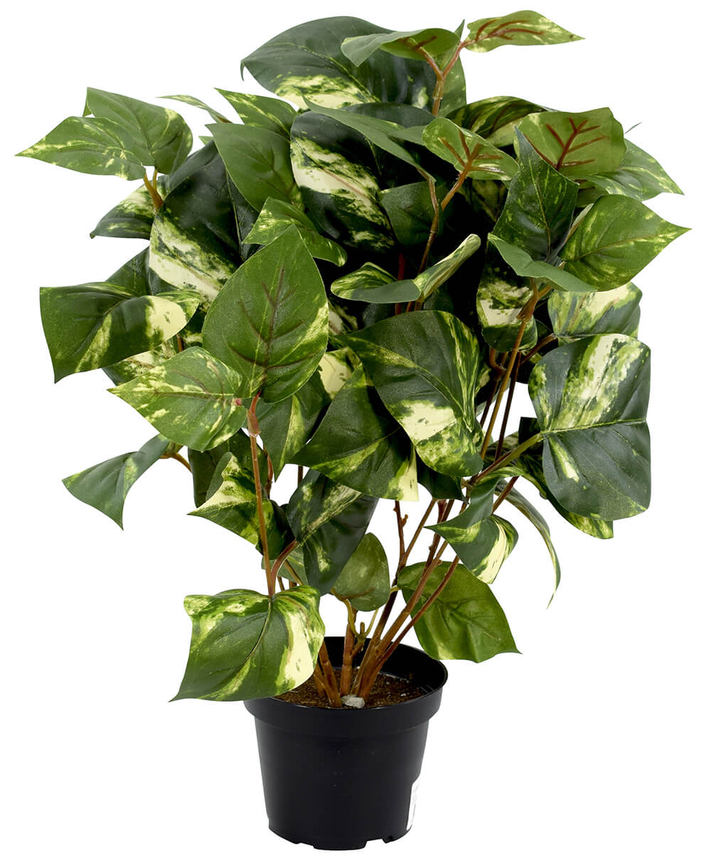 Golden Pothos Plant in Pot - Artificial Plants