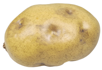 Medium Fake Potato 