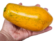 Fake Papaya 