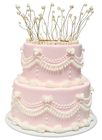 2-Tier  Pink Iced Cake with Decoration 