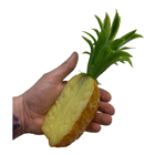 Half a Plastic Pineapple - 20cm 