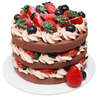 Naked Chocolate Fruit & Cream Cake 