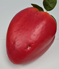 Giant Fake Strawberry - Slight Second 