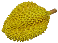 Fake Durian, Green 