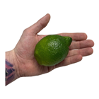 Plastic Limes - 8cm Pk.3 