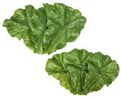 Fake Lettuce Leaves - Pk.6 