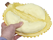 Fake Durian Half 