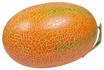 Orange-Yellow Melon 