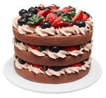 Naked Chocolate Fruit & Cream Cake 