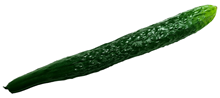 Fake Cucumber 