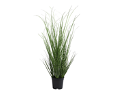 Grass in Pot - 100cm 