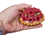 Patisserie Style Fruit Tarts - Pk.6 