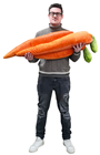 Giant Plush Carrot - 110cm 