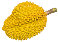 Fake Durian, Yellow 