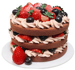 Naked Chocolate Fruit & Cream Cake 