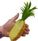 Half a Plastic Pineapple - 20cm 