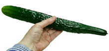 Fake Cucumber 