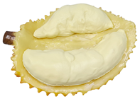 Fake Durian Half 