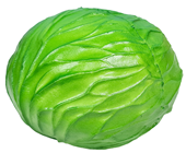 Fake Green Cabbage 