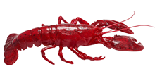 Plastic Lobster - 50cm 