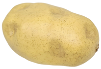 Large Fake Potato 