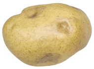 Medium Fake Potato 