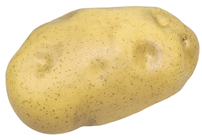 Large Fake Potato 