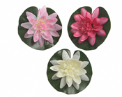 Water Lily on Leaf, 13cm - Set of% 