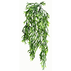 Green Plastic Seaweed Hanger - 60cm 