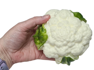 Whole Fake Cauliflower 