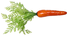 Lifelike Carrot with Greenery 