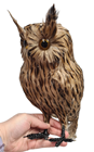 Fake Standing Owl - No.2 