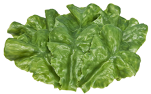 Fake Lettuce Leaves - Pk.6 