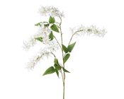 White Wisteria Branch - 110cm 