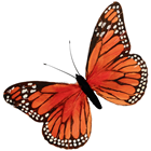 Orange Feather Butterfly - 56cm 