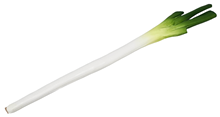 Fake Leek 