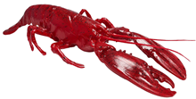 Plastic Lobster - 50cm 