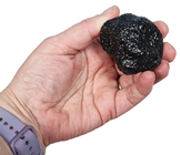 Fake Black Truffle 