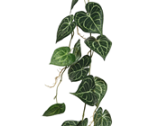 Anthurium Garland - 115cm 