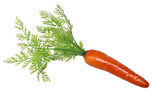 Lifelike Carrot with Greenery 