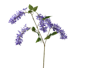 Purple Wisteria Branch - 110cm 