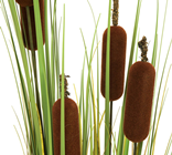 Artificial Bullrushes - 150cm 