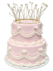 2-Tier  Pink Iced Cake with Decoration 